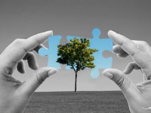 Impres Technology Solutions: Elevating Your Business with Cutting-Edge IT Services