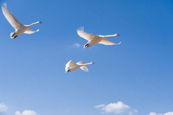 cloud data migration